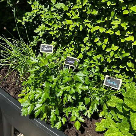 Le D'ilona 블롱빌 쉬르 메르